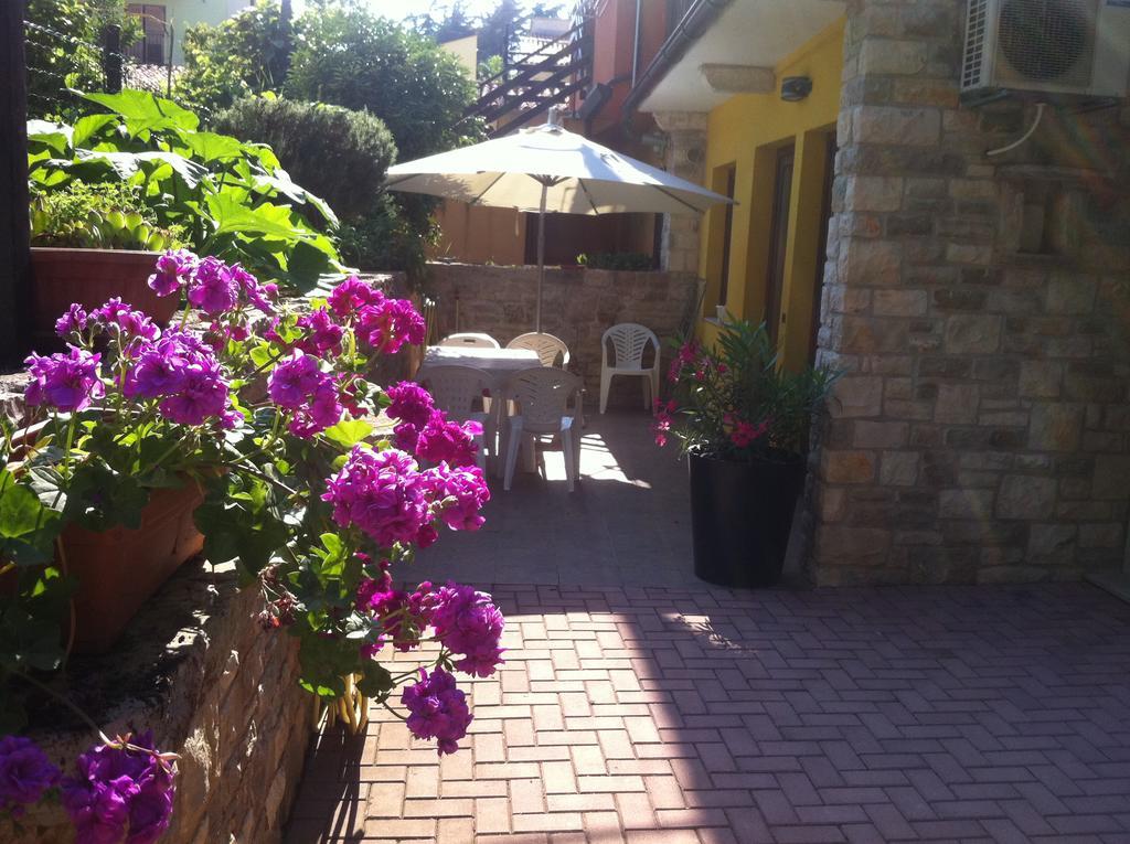 Apartment Sincic Novigrad Istria Exterior foto